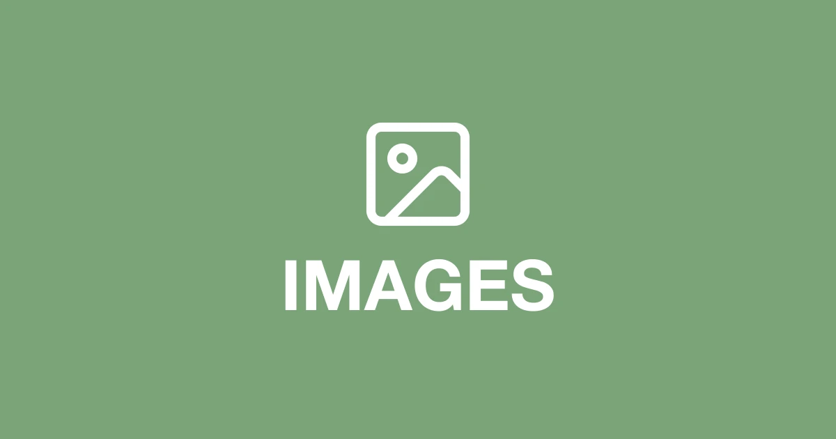 How to Fix Slow Images on Your Website